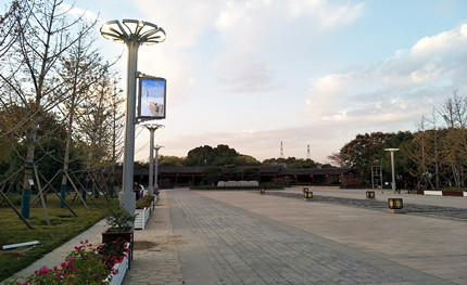 在這綠樹(shù)成蔭的公園里，我是一棵特別的“樹(shù)”