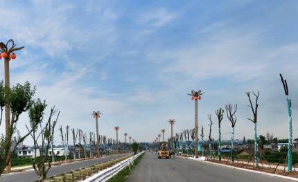 華光|照亮鄉(xiāng)村振興路！